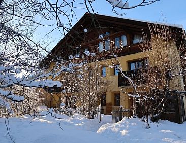 Appartement Wohnung Grün