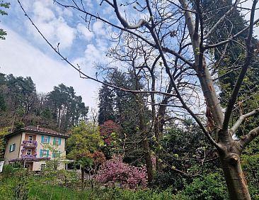 Vakantiehuis La Pineta