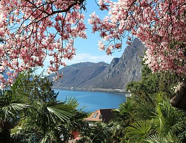 Appartement Garten-Wohnung