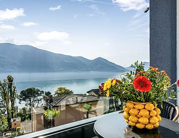 Appartement Double Room Modern