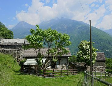 Vakantiehuis Rustico Cleo