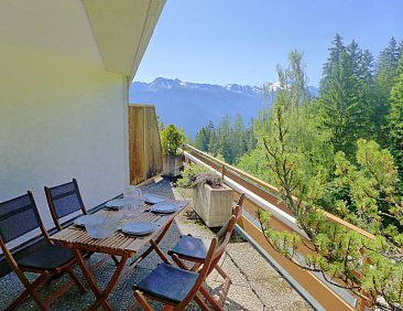 Appartement Terrasse Des Alpes 917
