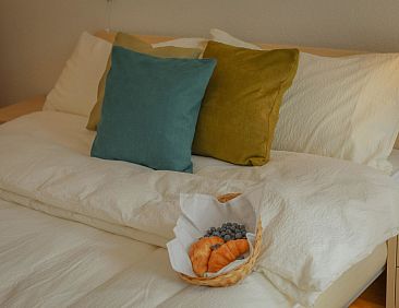 Appartement 2-Bettwohnung Edelweiss A 2
