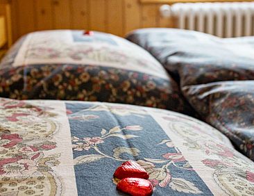 Appartement Bergtreu, (Grächen),