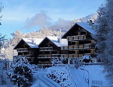 Appartement Les Mayens de l'Ours - 4 Vallées