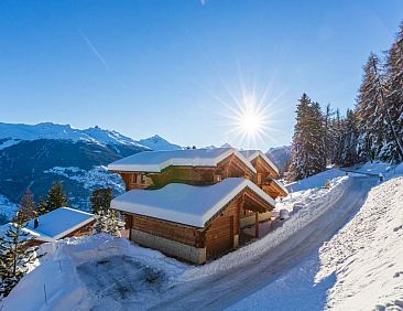 Vakantiehuis Luxuriöses Chalet mit privatem Spa und großem