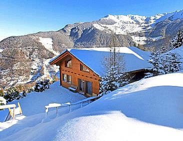 Vakantiehuis Chalet Alpina