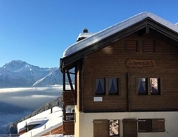 Appartement Almenrausch 1. OG Süd-Ost Appartement/Fewo, Bad