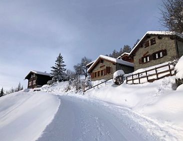 Vakantiehuis Tiny House facing the Alps - Ski in and out