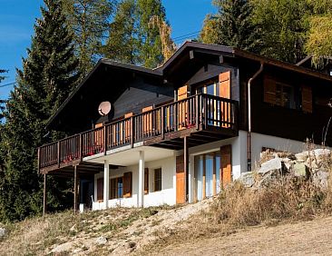Vakantiehuis Chalet Heidelbeeri