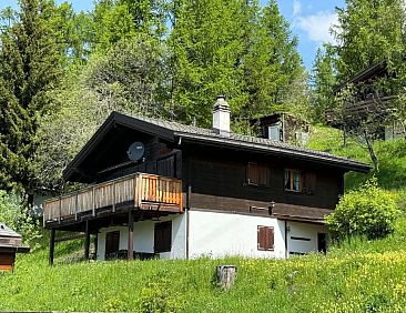 Vakantiehuis Chalet Glücksfall