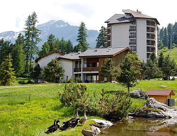 Appartement Mont-Fort 26