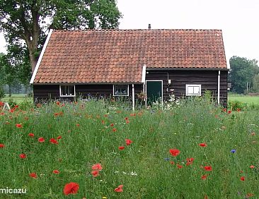 't Heerlijke huisje aan de wei