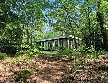 Vakantiehuisje in Wateren (Westerveld)