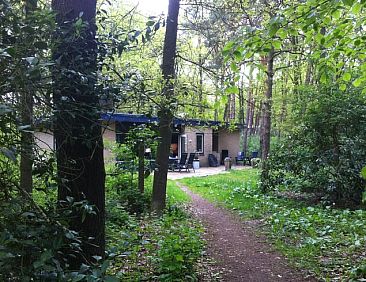 Vakantiehuisje in Wateren (Westerveld)