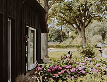 Vakantiehuisje in Uffelte