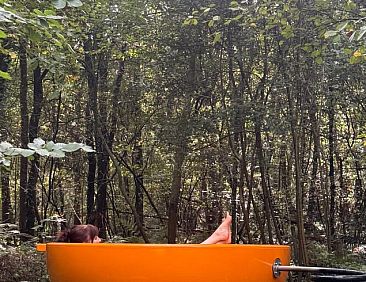 Vakantiehuisje in Uffelte