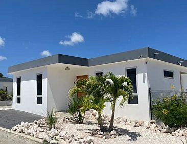 The Luxury Flamingo