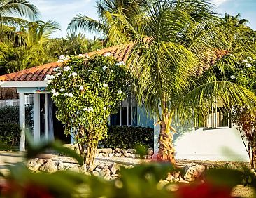 Villa Blue Curacao