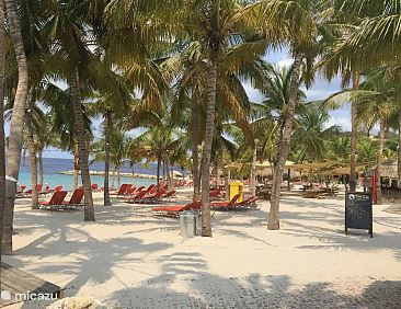 Blue Bay Beach Apartments