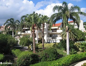 Dushipalm