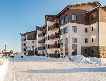 Vakantiehuis Nordic chalet 9209