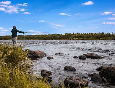 Vakantiehuis Luongasloma 2