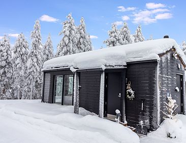 Vakantiehuis Visit pyhä cabins c