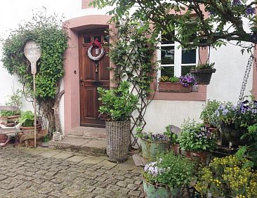 All Seasons Bed &amp; Breakfast