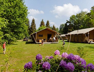 Safaritent de Wold Lodge