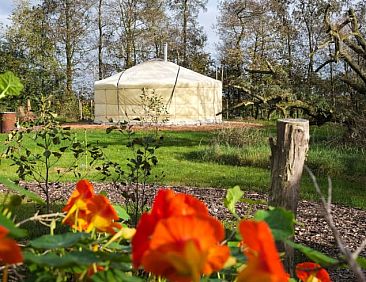 Vakantiehuisje in Feanwâlden