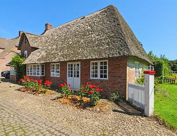 Vakantiehuis "Bedine" - 10km from the sea