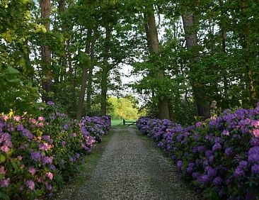 Vakantiehuis in Ruurlo