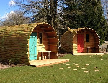 Slapen in een boomstam