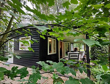 Sfeervol 4 persoons vakantiehuis in Loenen nabij de Veluwe