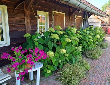 Vakantiehuisje in Uithuizermeeden