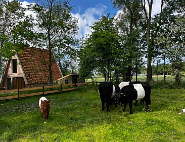 Vakantiehuisje in Tinallinge