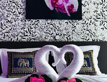 B&B Kookhai