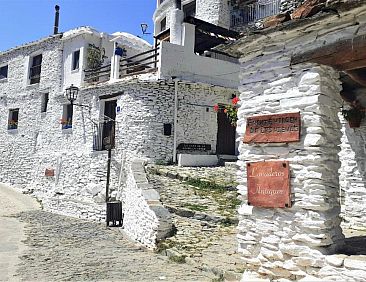 La Casa de la Bombilla Verde