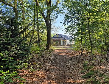 Vakantiehuis in Nederweert-Eind