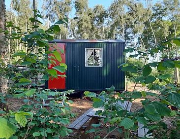 Vakantiehuis in Nederweert Eind