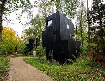 Treehouse 6