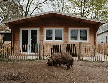 Vakantiehuisje in Stevensbeek