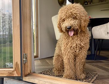 Klapkot - hond welkom