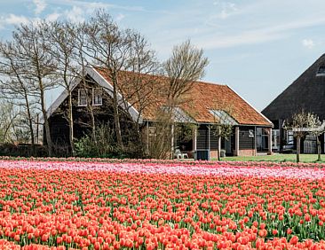 Vakantiehuis in Burgerbrug