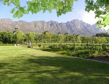 Franschhoek Rose Cottages