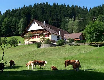 Martinhansenhof