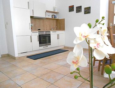 Apartments Altstadtflair