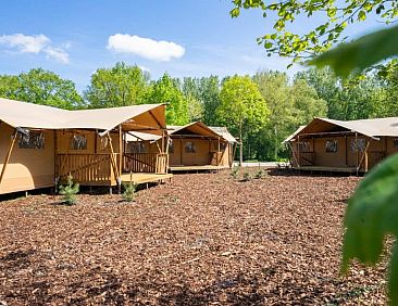Lodgetent Community 16