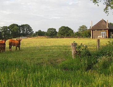 Vakantiehuis in Wierden